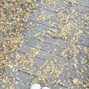 장수-2 | 스노우라인 X 장수군 콜라보 장수야놀자! 방화동자연휴양림 2박 3일 솔직후기