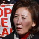 트럼프에 낚인 나경원·주진우…“정치보복” “내란몰이” 다 설레발이었다 이미지