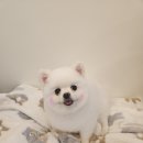 소미미용실 이미지