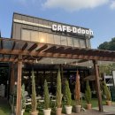 카페 또아 이미지