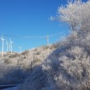 청태산 자연속으로 이미지