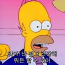 진치과 네이버블로그