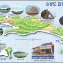부여농협동부지소