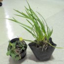 민들래민박 이미지