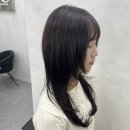 대전 둔산동 미용실 아이엠미헤어에서 C컬펌 하고 왔어요