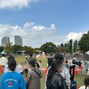 해나정 | 2025 한강 종이비행기 축제, 6살 아이와 함께한 특별한 하루와 아쉬웠던 경험까지 솔직 후기