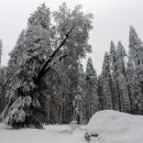 첫눈에반하다 이미지