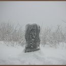 제62회 정기산행 대관령 능경봉 & 고루포기산 눈(雪) 산행 ..종료 이미지