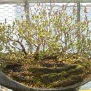 꽃순이농장 이미지