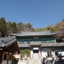 홍룡로 이미지
