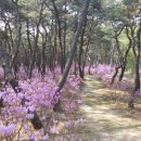 여주-0515 네이버블로그