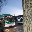 수원-1861 이미지