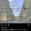 브라운바스켓 네이버블로그
