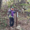 차돌배기로 이미지