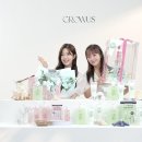영 라이브 이미지
