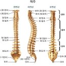 추신경외과 티스토리