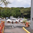 천년비자 이미지