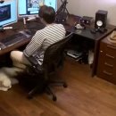 댕댕이라이프 이미지