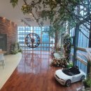 더파티하우스 이미지