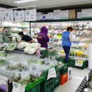 에이스마트 이미지