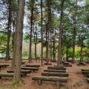 #1.유명산 자연 휴양림, 산골농원 가마솥닭볶음탕, 양수리빵공장 [2023.10]