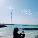 신생상회 이미지