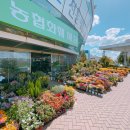 농협하나로유통 울산농산물종합유통센터 이미지