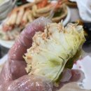 해양회대게센타 이미지