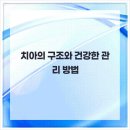 튼튼치과의원 이미지