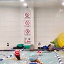 스위밍키즈 도안관저점 이미지