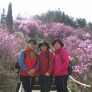 원미공원 이미지