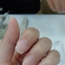 네일더이브 이미지