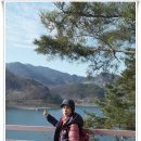 충주호 종댕이 이미지