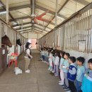 한성농장2 이미지