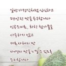 박자연착한음식이야기
