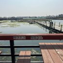 낚고락고 이미지