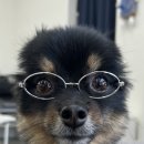 NR-7[통신사로]-상-12 | [페이북리더스 7기] ep.12 퍼플렉시티만 다운받았는데 5000원이?