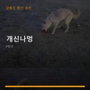 개신나멍 네이버블로그