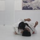 모던주짓수