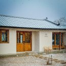 스테이 띠앗 이미지