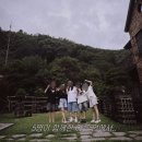 진고집 동해 동태탕 이미지