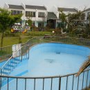 아모렉스 이미지