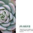 청림조경공사 이미지