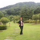 창원단감테마공원 이미지