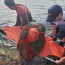 푸른바다 이미지