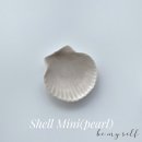 펄쉘(Pearl Shell)
