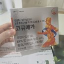 메가테크 | 코큐메가 오메가3 코큐텐 홍국 비타민을 한번에 내돈내산