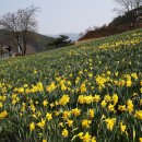 용방면사무소 앞 이미지