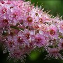 유년시절 이미지