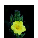 서호농장 이미지